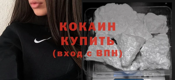 индика Белокуриха