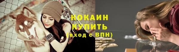 индика Белокуриха
