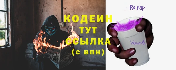 индика Белокуриха