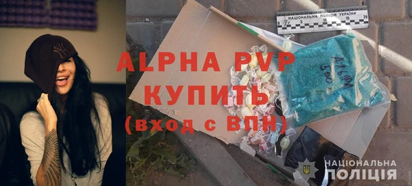 индика Белокуриха