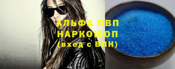 индика Белокуриха