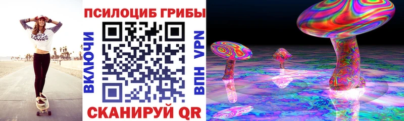 наркотики  Дмитровск  Галлюциногенные грибы Psilocybine cubensis 